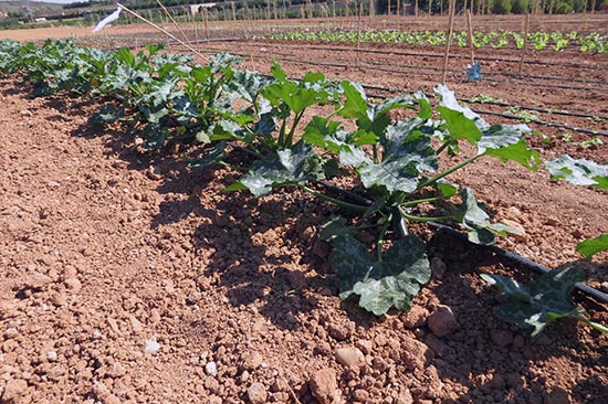 la-granja-3 Abadía d'Espí Restaurante - Nuestra Granja